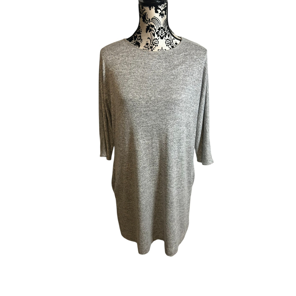 Aritzia Wilfred Free Dress tunic Modern chic Oversized Minimalist Neutral XS